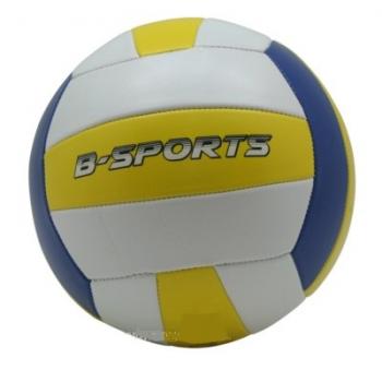 B-sports volleybal leer