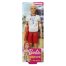 Barbie lifeguard ken