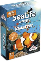 Identity games kwartet sealife weetjes