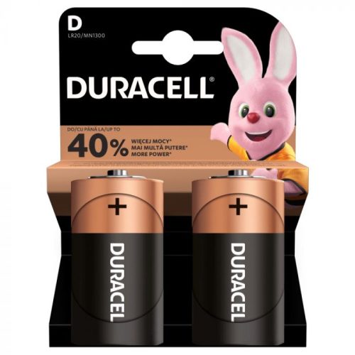 Duracell D batterijen 2 stuks