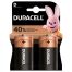 Duracell D batterijen 2 stuks