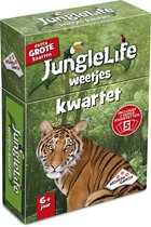 Identity games kwartet junglelife weetjes