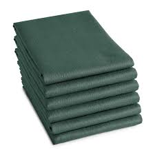 DDDDD theedoek logo green 65x60cm